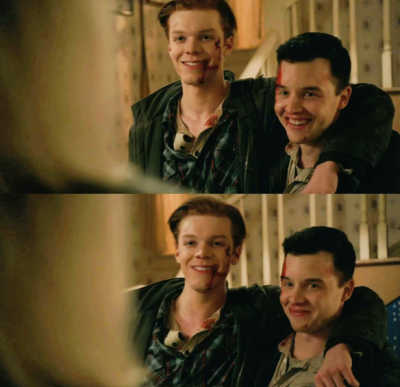 gallavich