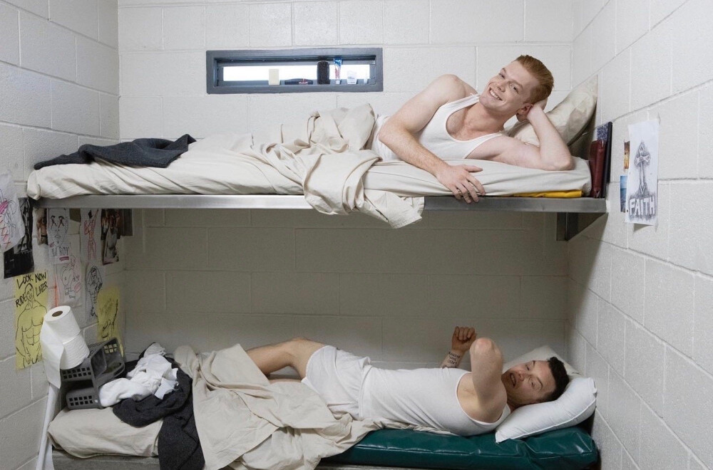 gallavich