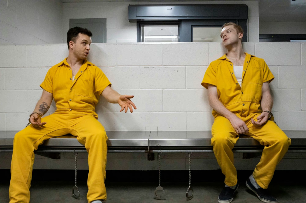 gallavich