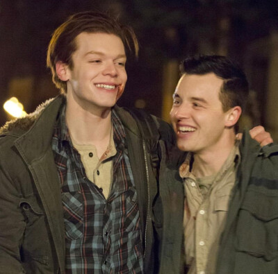 gallavich