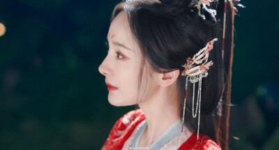 杨幂 * 涂山红红