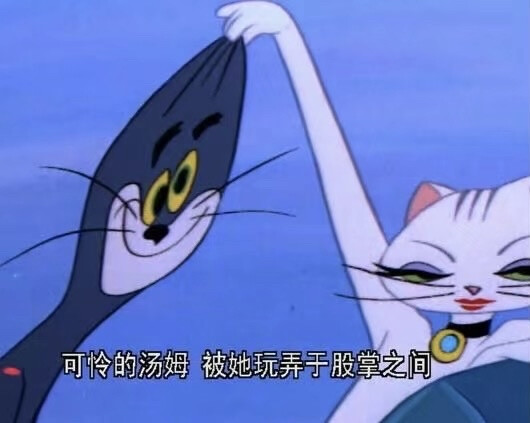 猫鼠玩弄股掌之中模版