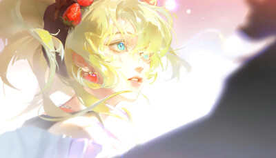 苹果汁 妈咪 小鸟副官 唐哥 鱼鱼 大哥 