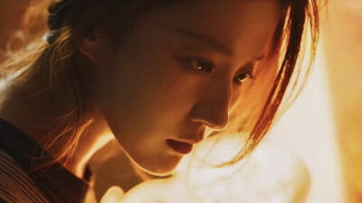 《玫瑰的故事》玫瑰