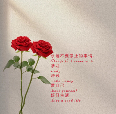 永远不要停止的事情:
Things that never stop.
学习
study
赚钱
make money
爱自己
Love yourself
好好生活
Live a good life