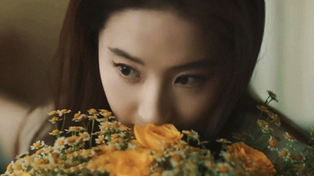 《玫瑰的故事》玫瑰