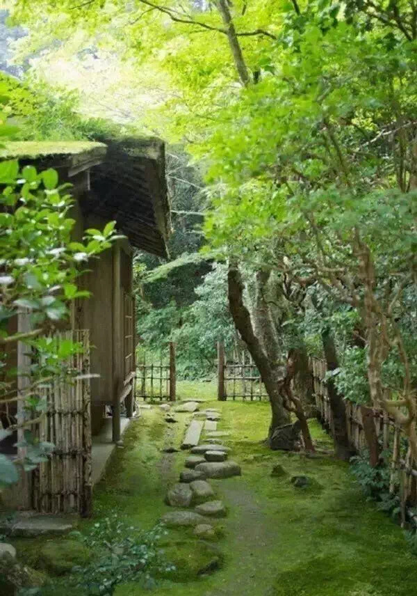越纯朴富有乡土气息的庭院，越能给人愉悦的… - 高清图片，堆糖，美图壁纸兴趣社区