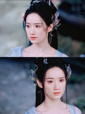 万物生灵皆有情