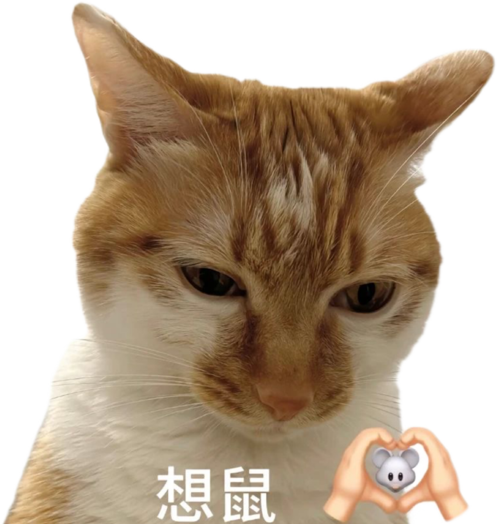 猫咪表情包