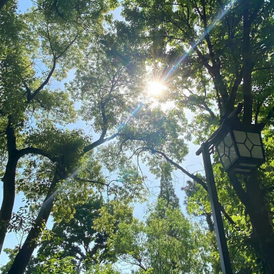 ins风背景图