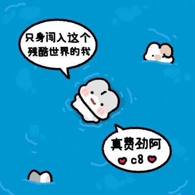 图源vb：诺比小兔Nobi