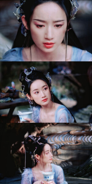 万物生灵皆有情