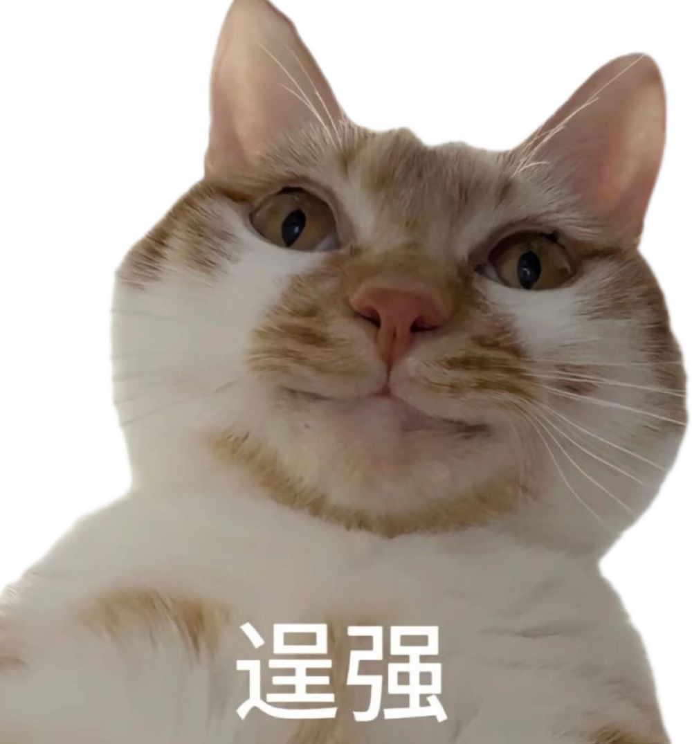 猫咪表情包