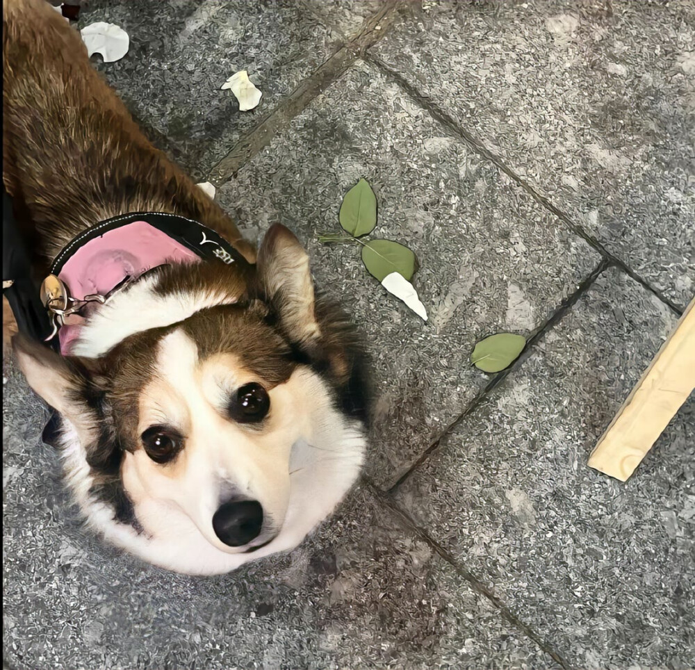 小众风格背景图