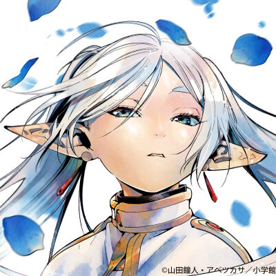 葬送的芙莉莲了