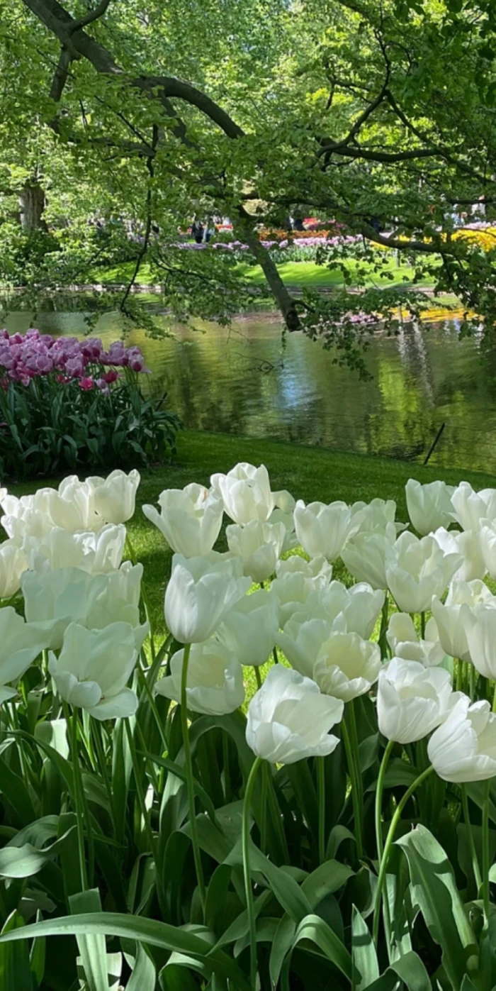 花儿们啊！感谢你们为春天带来惊喜