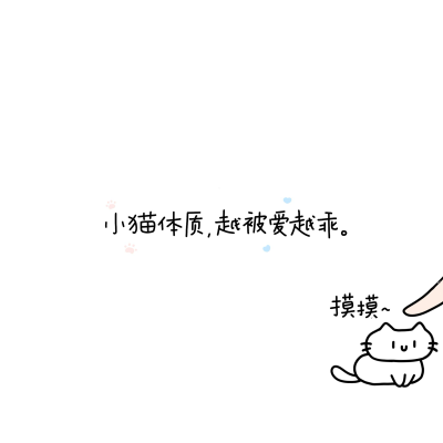 小猫朋友圈背景图