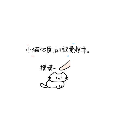 小猫朋友圈背景图