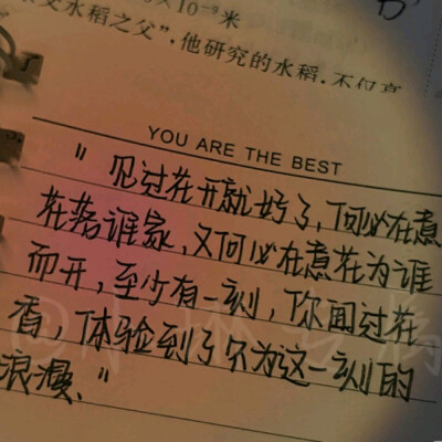 中考加油