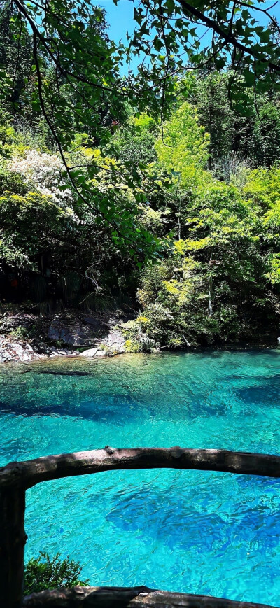 精选夏日清爽壁纸