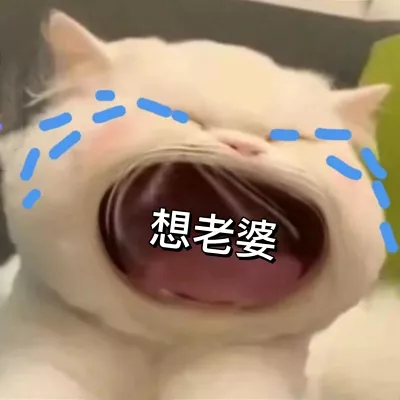 猫猫表情包