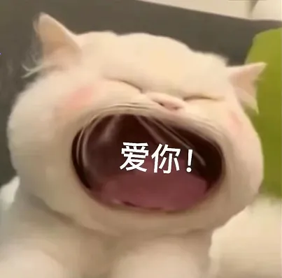 猫猫表情包