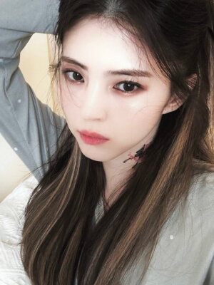 ˙Ⱉ˙女明星