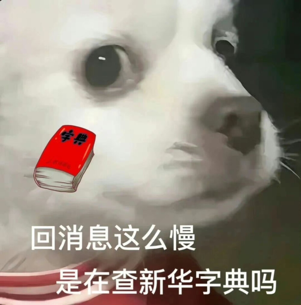 表情包