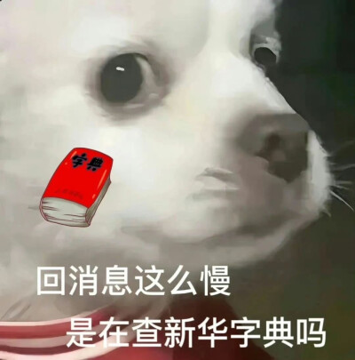 表情包