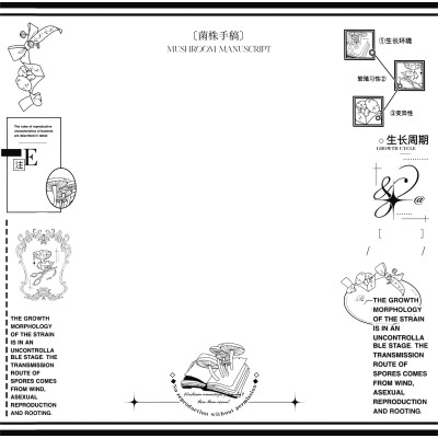 原创摸鱼水印