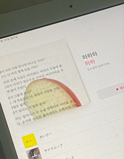 图源pin
