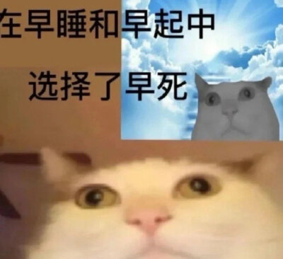 发疯表情包