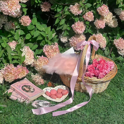 背景·图源微博