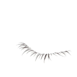 电子眼睫毛p图素材 - 高清图片,堆糖,美图壁纸兴趣社区