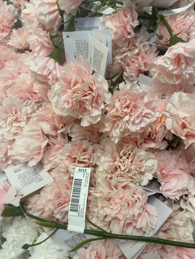 花卉/朋友圈背景 ^英文贴纸