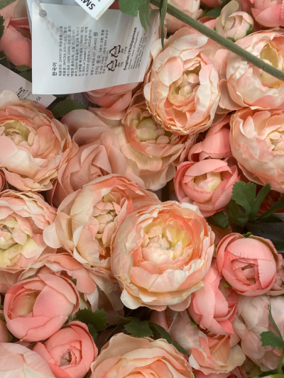 花卉/朋友圈背景 ^英文贴纸