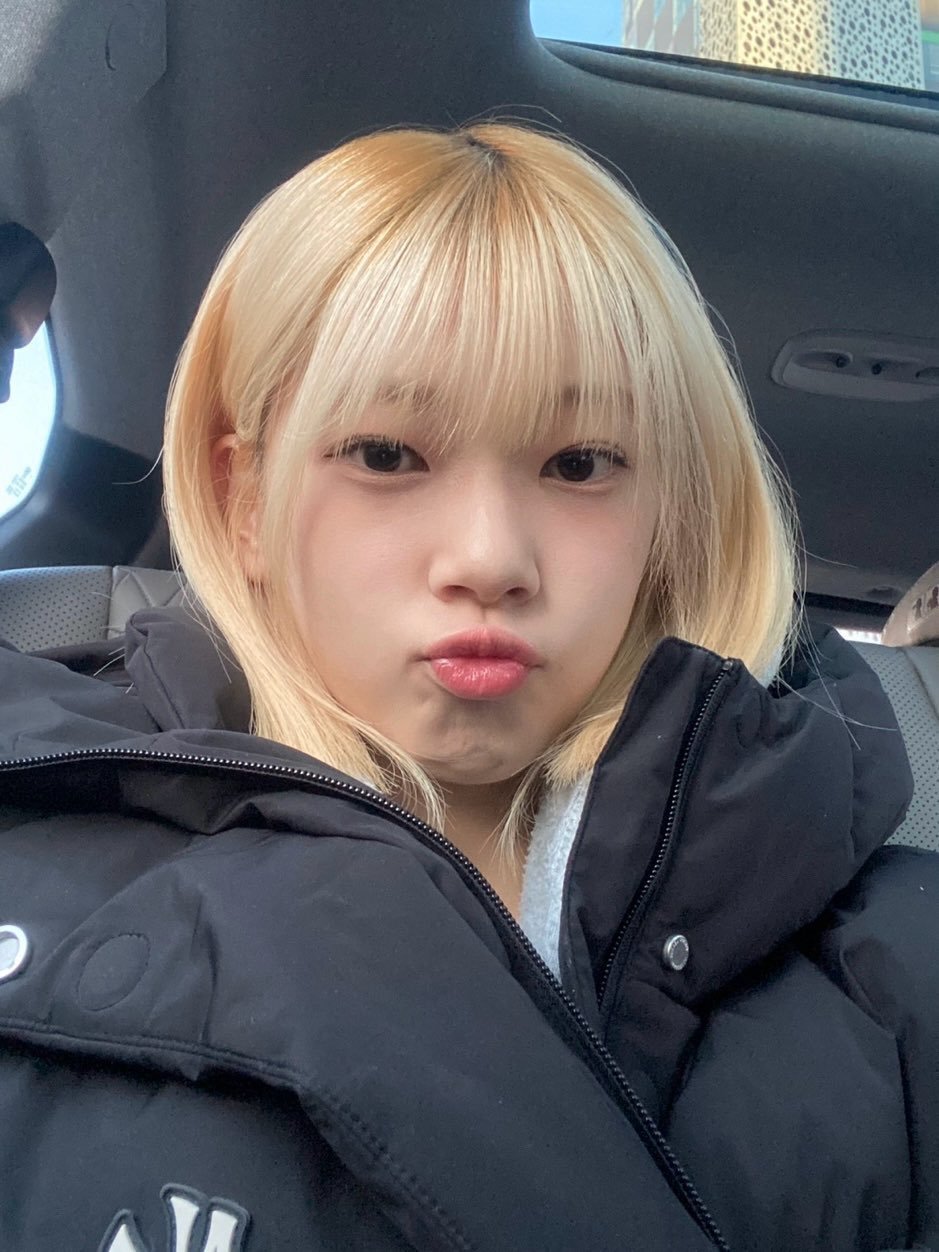 kotoko