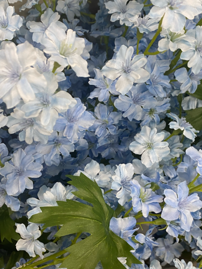 花卉/朋友圈背景 ^英文贴纸