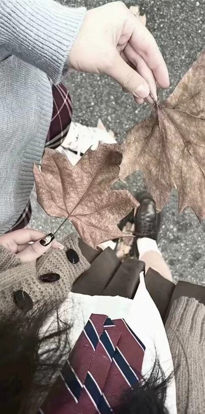 壁纸高清