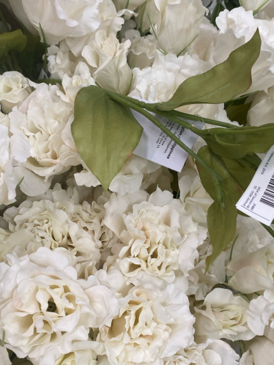 花卉/朋友圈背景 ^英文贴纸