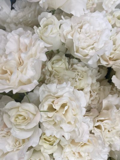 花卉/朋友圈背景 ^英文贴纸