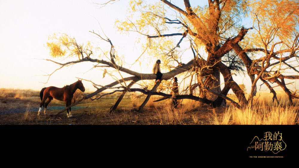 “彩虹布拉克” 一个美丽的误会…
我的阿勒泰 /
/ 周依然 于适 李文秀 巴太 ​​​
cr@山衔风