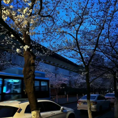 ins风背景图