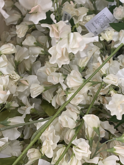 花卉/朋友圈背景 ^英文贴纸