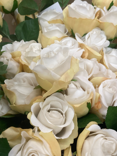 花卉/朋友圈背景 ^英文贴纸