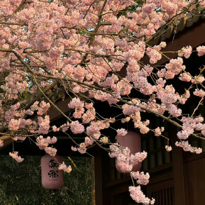 背景·图源微博