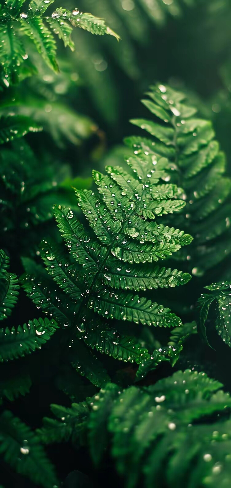 壁纸- 高清图片,堆糖,美图壁纸兴趣社区