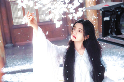 杨超越 *姜梨 / 墨雨云间 ​​​