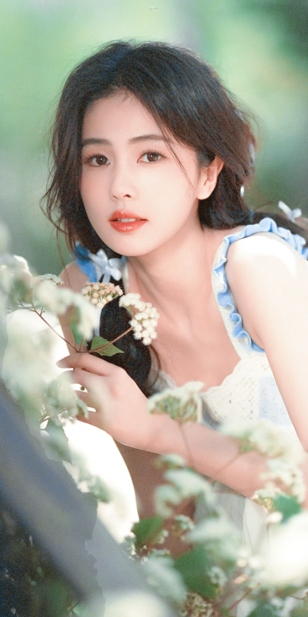 白鹿- 高清图片,堆糖,美图壁纸兴趣社区