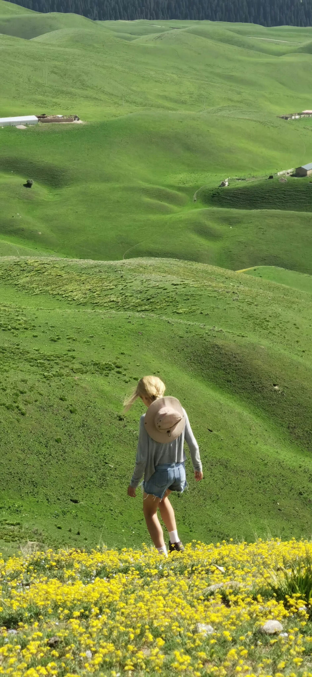 窗外有风景，笔下有前途，希望每一笔绘画都是澄净的未来。